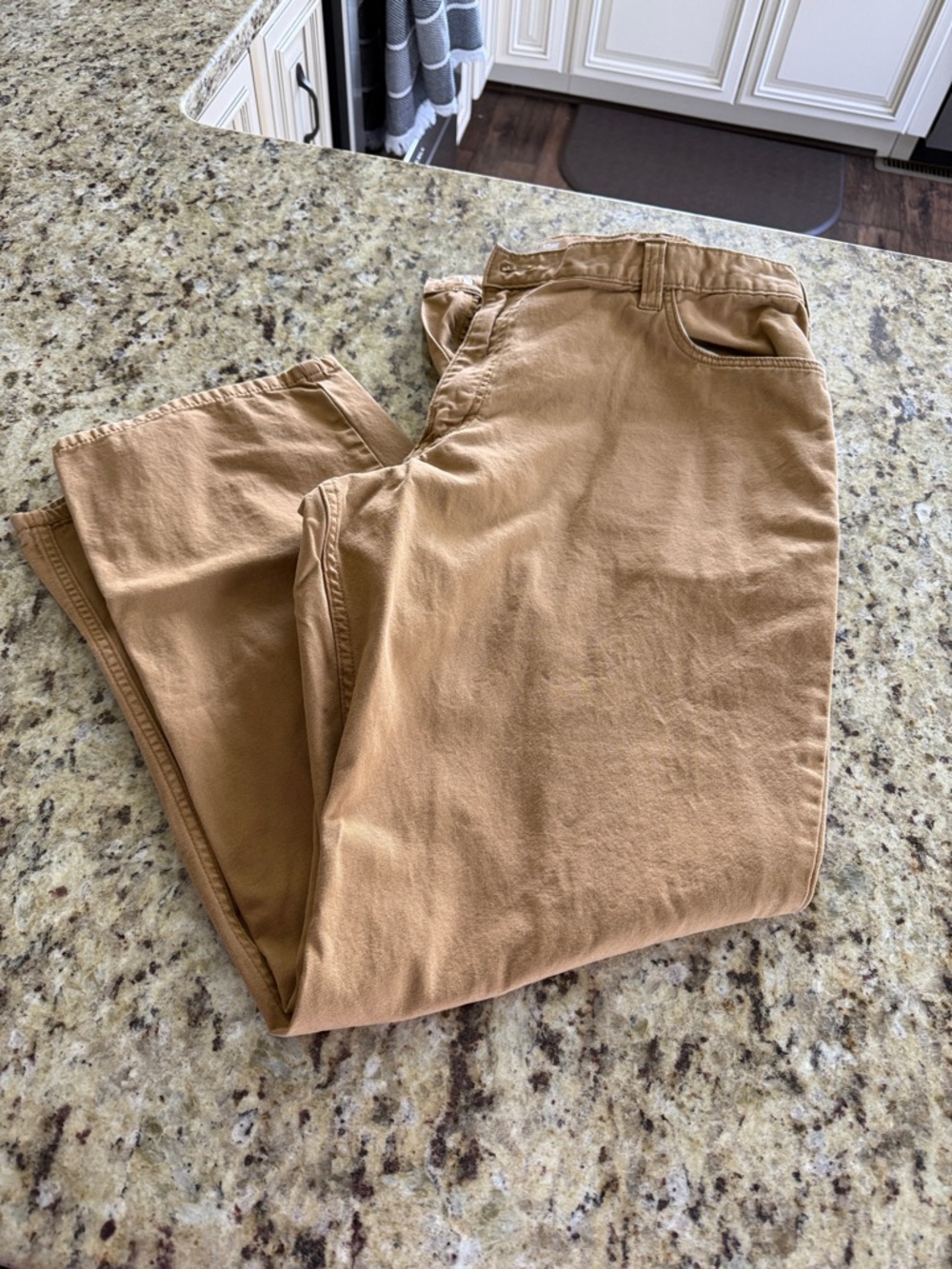Men's Carhartt pants